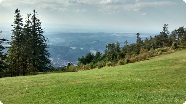 Blick vom Kandel im Schwarzwald (August 2016)