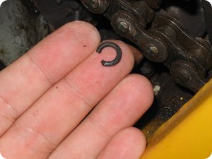 Ein O-Ring welcher sich im Schmodder versteckt hatte