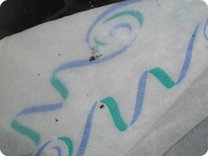 Die Insektenüberreste lösen sich beim Abziehen