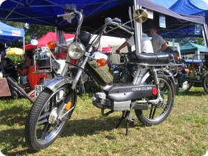 Kreidler Flory