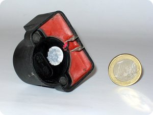 Größenvergleich mit einem Ein-Euro-Stück