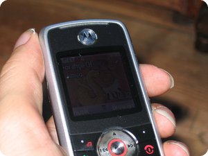 Orange CH für das Motorola