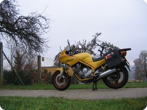 Das trübe Wetter am heutigen Novembertag