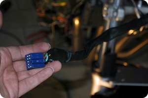 Leitung zu den Instrumenten (blauer Stecker)
