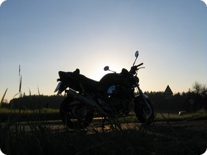 Suzuki GSF 1200 (GV75A) im Gegenlicht