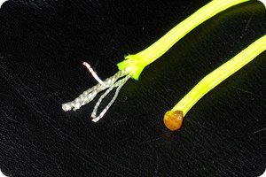 Ende vom Paracord offen und verschmolzen