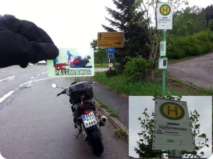 Hallenwasen (Geisberg)