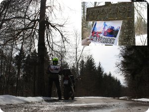 Friedenslinde