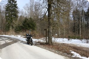 Von der anderen Seite freundlicher: »Friedenslinde«