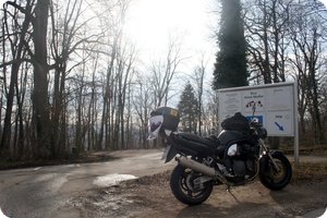 Die Sonne bricht durch die kahlen Bäume