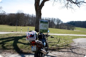 Am Nachweispunkt »Hanner Steige / Eppenzillfelsen«