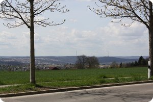 In der Ferne: Stuttgarter Fernsehturm