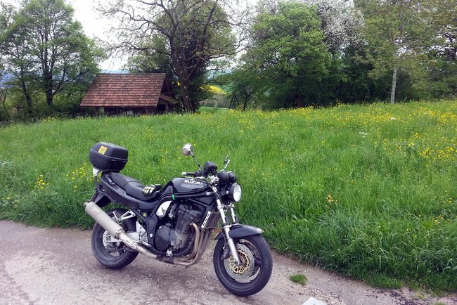 Am Nachweispunkt »Oberhallauerberg / Rummelen«
