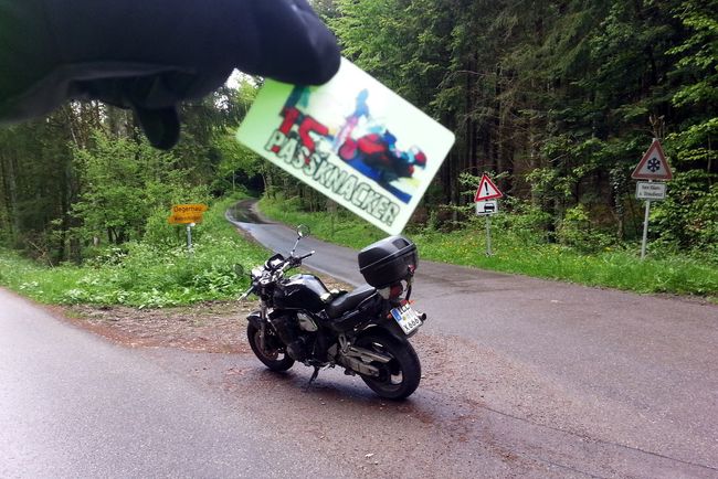 Am Nachweispunkt »Tannen (Rechberg)«