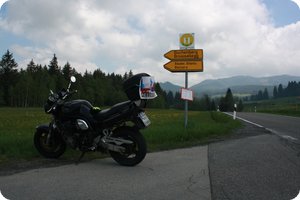 Am Nachweispunkt »Breitenstein / Großer Wald«