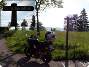Paradies