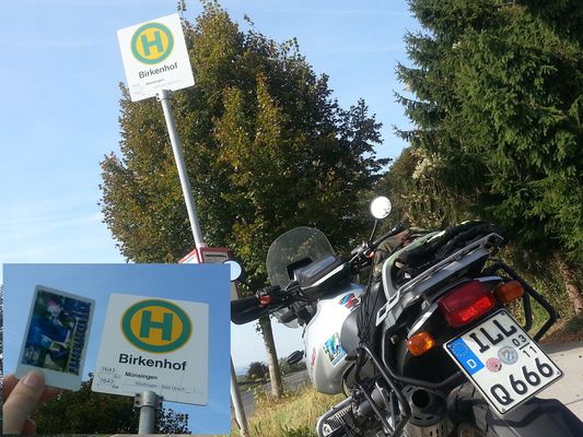 Birkenhof
