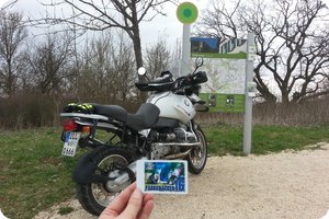 Am Nachweispunkt »Schlosshau (Machtelsberg)«