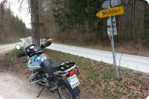 Am Nachweispunkt »Friedenslinde«