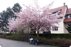 Übrigens: Es ist Frühling!