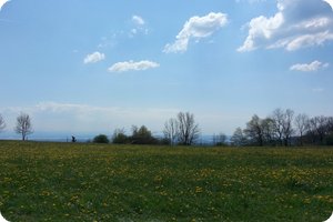Wobei... In Richtung Westen sieht es gut aus!