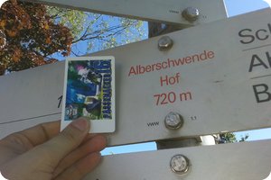 Detailaufnahme am Nachweispunkt »Alberschwende«