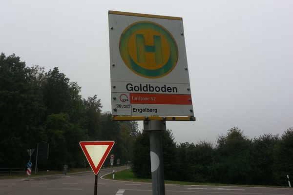 Detail am Nachweispunkt »Goldboden«