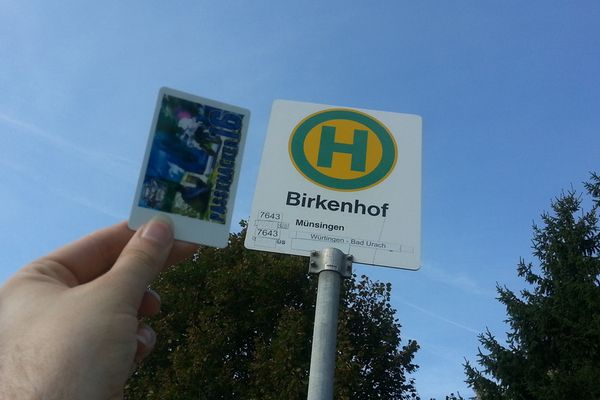 Detail am Nachweispunkt »Birkenhof«
