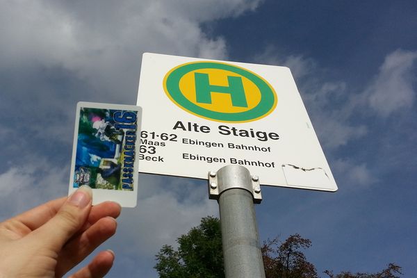 Detail am Nachweispunkt »Messstetter Steige«