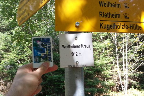 Detail am Nachweispunkt »Weilheimer Berg«