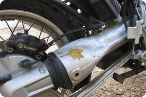 Das Putzen nach der letzten Fahrt war für die Katz'