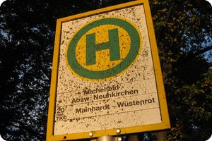 Detail am Nachweispunkt »Rote Steige (Michelfeld)«
