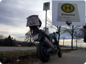 Birkenhof