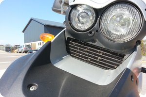Insekten sind auch wieder etliche unterwegs