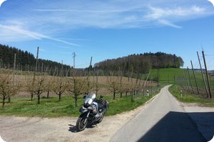 Irgendwo im Hopfenanbaugebiet