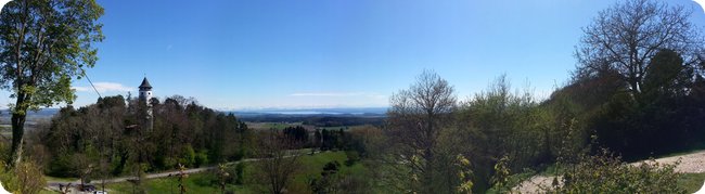 Panorama am Nachweispunkt »Hohenbodman«