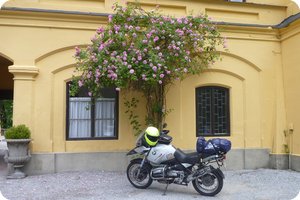 Parken unter Rosen in Brannenburg