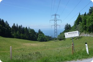 Bilck vom Pfänder auf den Bodensee