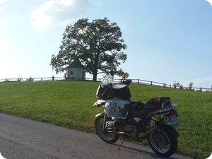 Samerberg / Luitpoldeiche