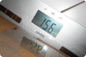 Inklusive Verpackung 15,6 kg