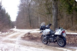 Am Nachweispunkt »Friedenslinde«