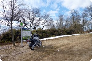 Das ist kein Gebüsch, das ist abholbereit