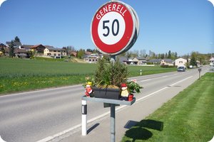 Blumenkasten am Ortsschild von Hörhausen
