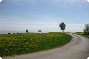 Der Wind windet gar fürchterlich