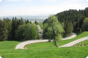 Ein Teil der Straße am Auerberg