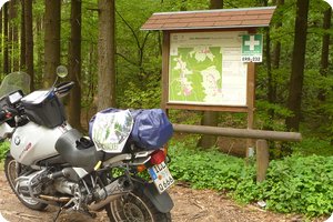 Am Nachweispunkt »Olfener Höhe«