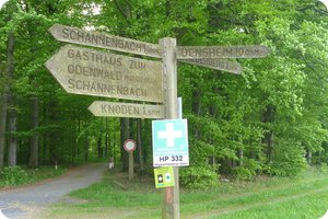 Viele, viele Wegweiser