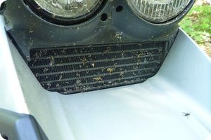 Mal wieder eifrig Insekten im Ölkühler eingesammelt