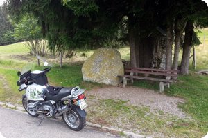 Am Nachweispunkt »Hagspieljoch«