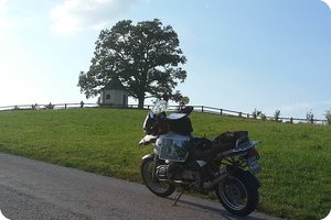 Am Nachweispunkt »Samerberg / Luitpoldeiche«